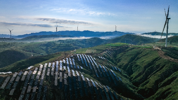 1718083606303035298.png 1718083606303035298.png