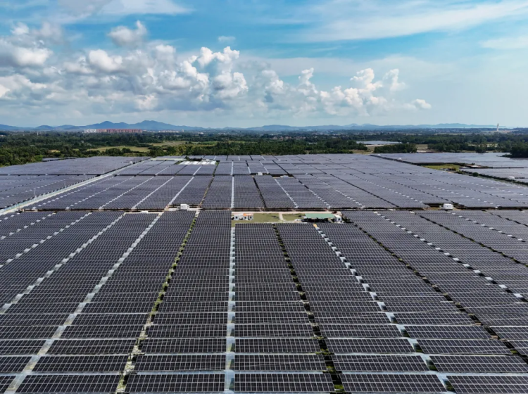 1730425716561053239.png 5.png